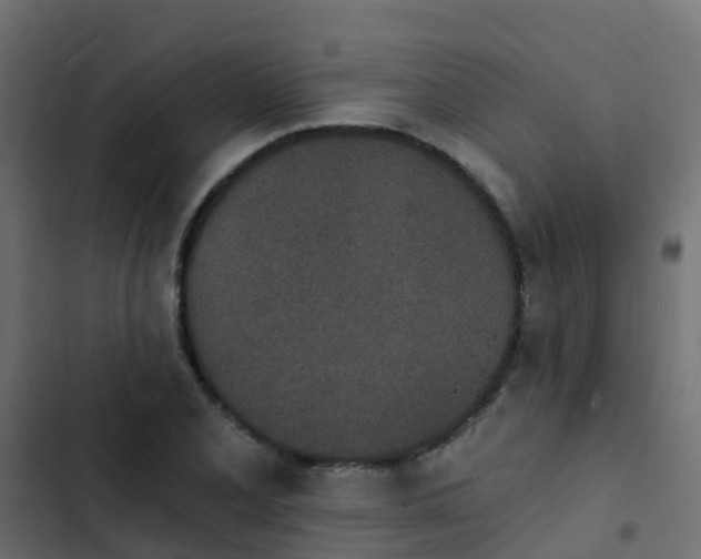 X0000103971077200809261829