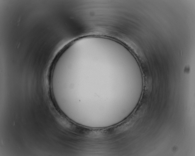 X0000103971078200809261829