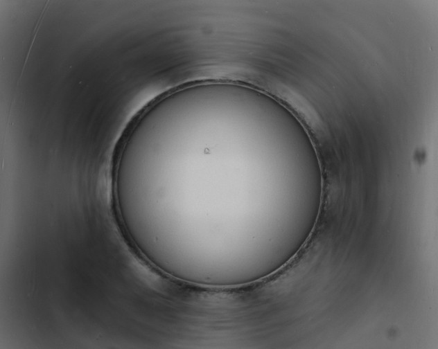 X0000103971079200809261829