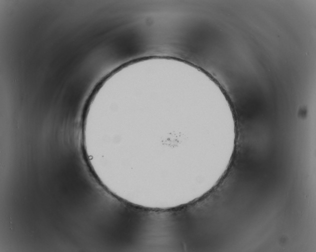 X0000103971080200809261829