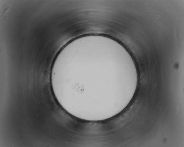 X0000103971081200809261829