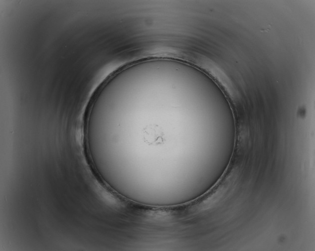 X0000103971082200809261829