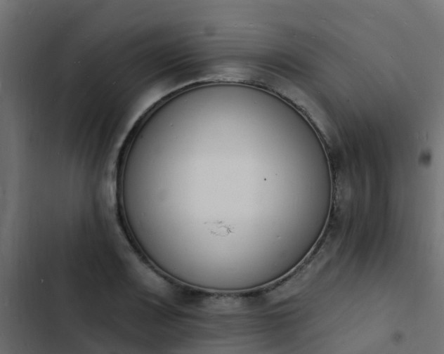 X0000103971083200809261829