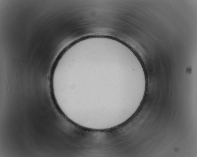 X0000103971085200809261829