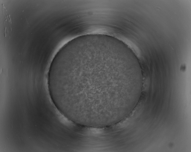 X0000103971086200809261829