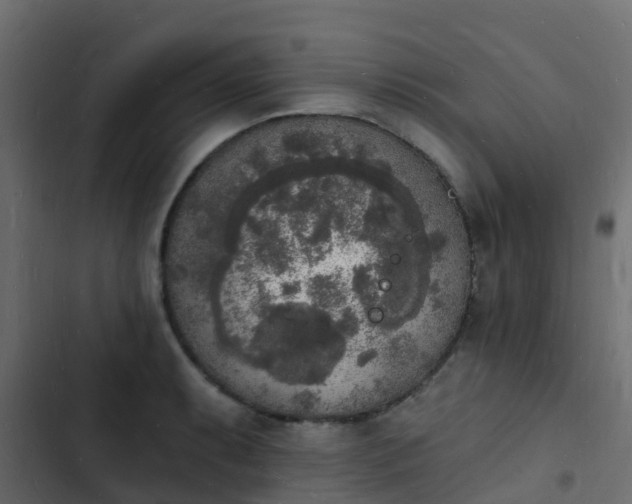 X0000103971087200809261829