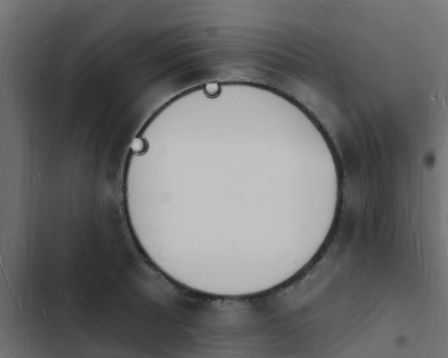 X0000103971089200809261829