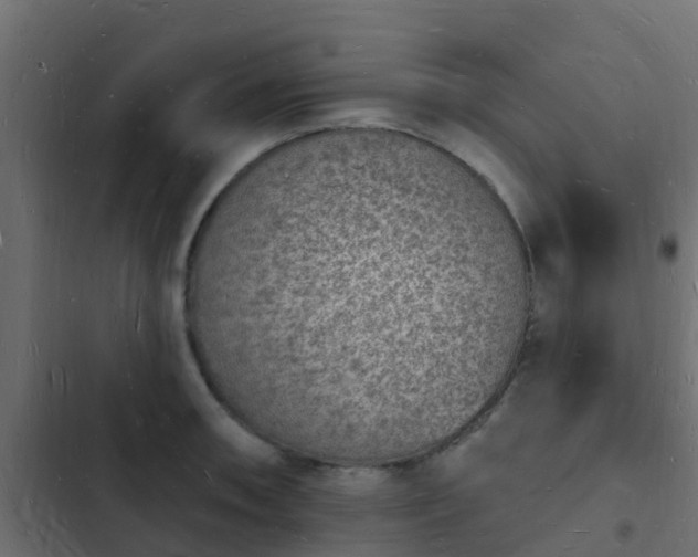 X0000103971090200809261829