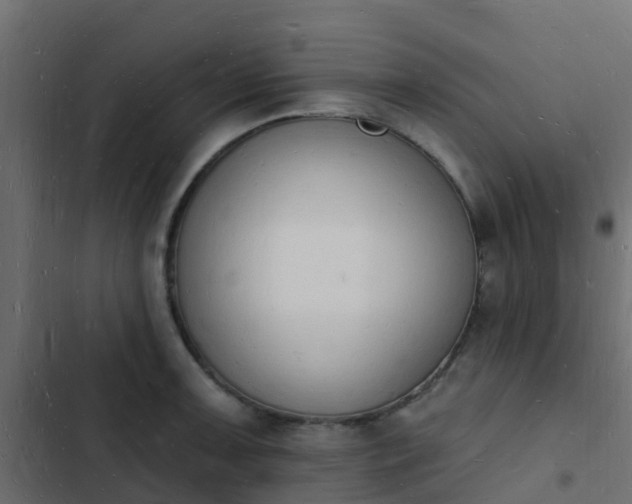 X0000103971091200809261829