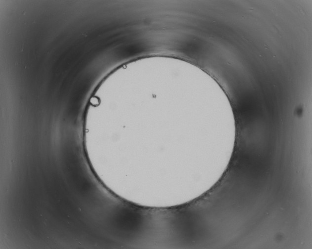 X0000103971092200809261829