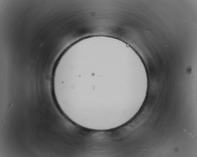 X0000103971093200809261829