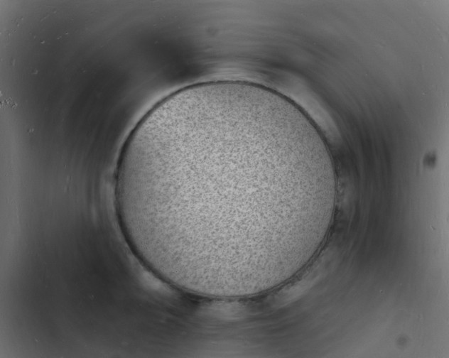 X0000103971094200809261829