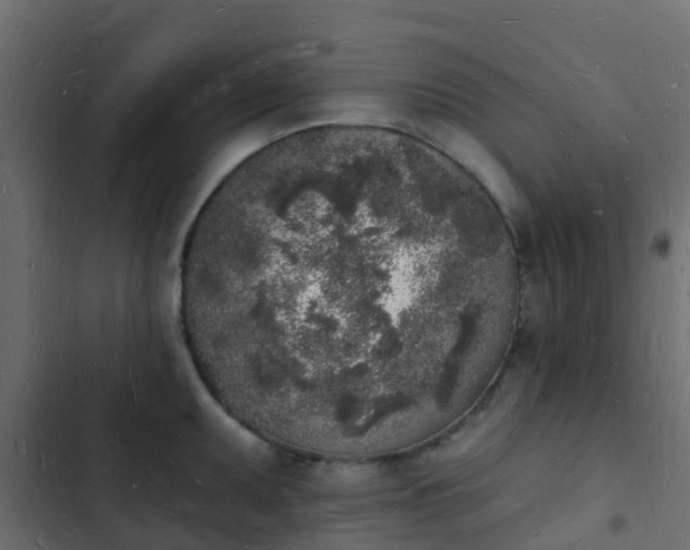 X0000103971095200809261829