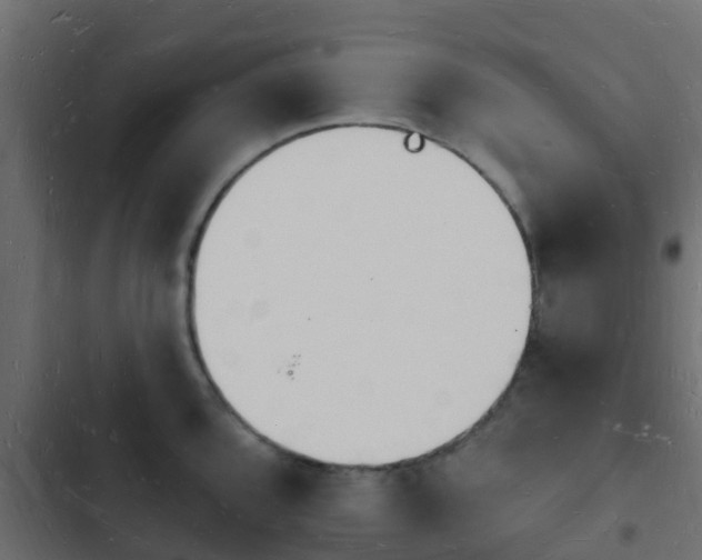 X0000103971096200809261829