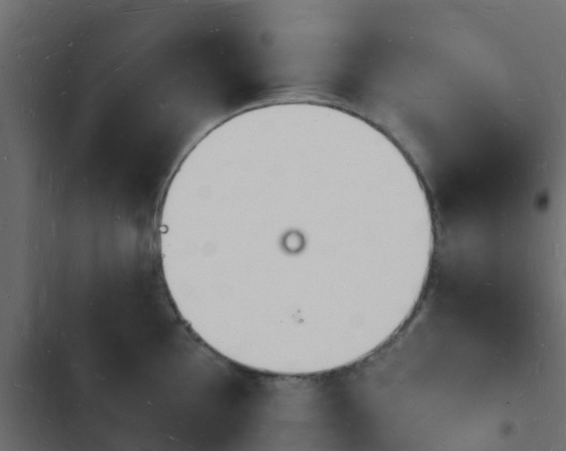 X0000103971097200809261829