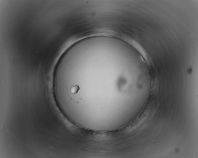 X0000103971099200809261829