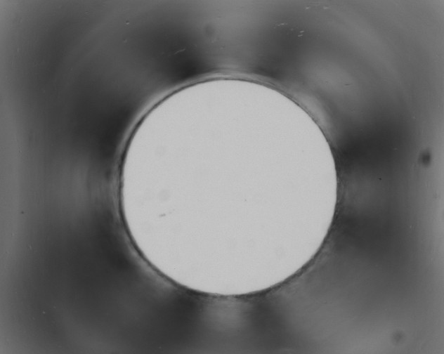 X0000103971100200809261829