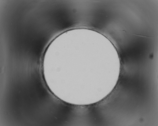 X0000103971101200809261829