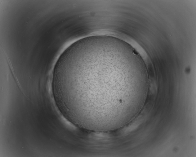 X0000103971102200809261829