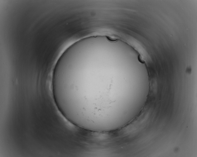 X0000103971103200809261829