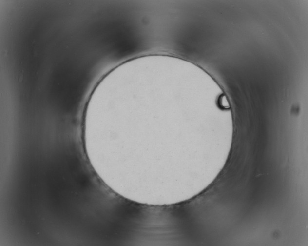 X0000103971104200809261829