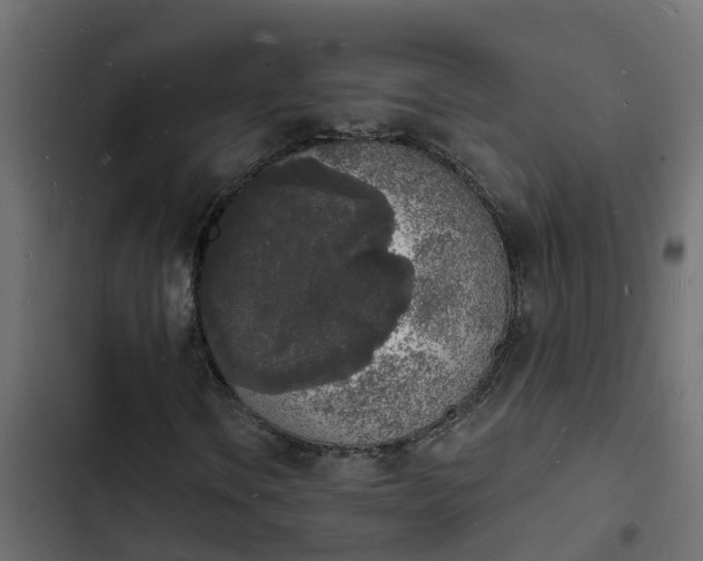 X0000103971106200809261828