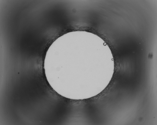 X0000103971108200809261828