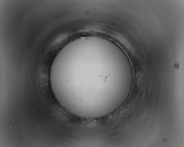 X0000103971111200809261828