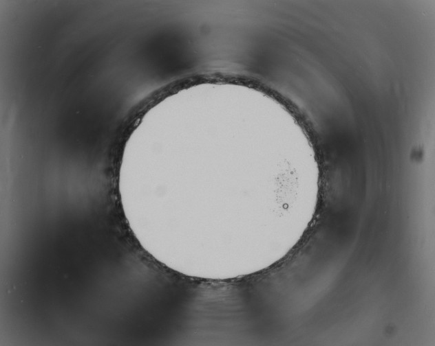 X0000103971112200809261828