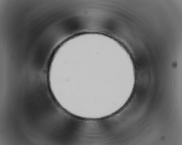 X0000103971114200809261828