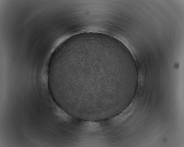 X0000103971115200809261828