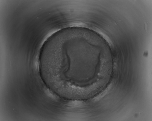 X0000103971117200809261828