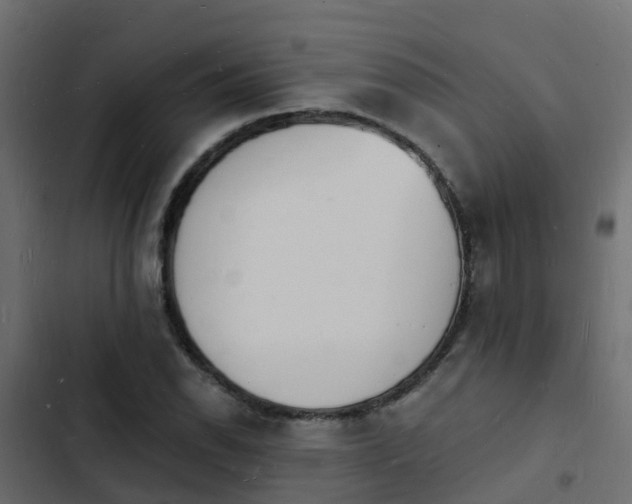 X0000103971118200809261828