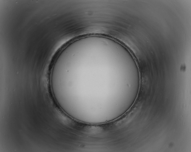 X0000103971119200809261828