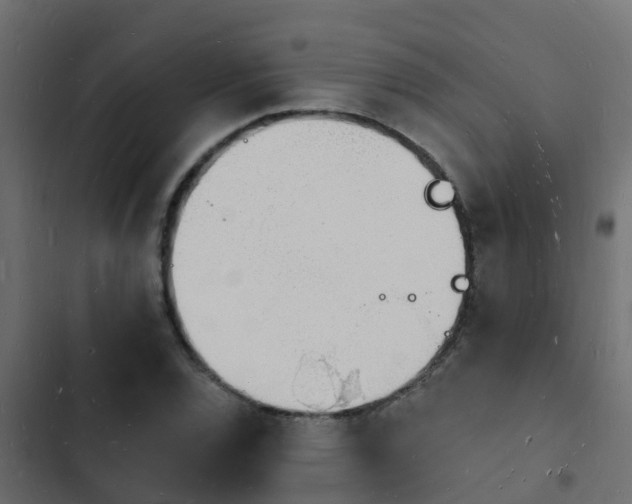 X0000103971120200809261828