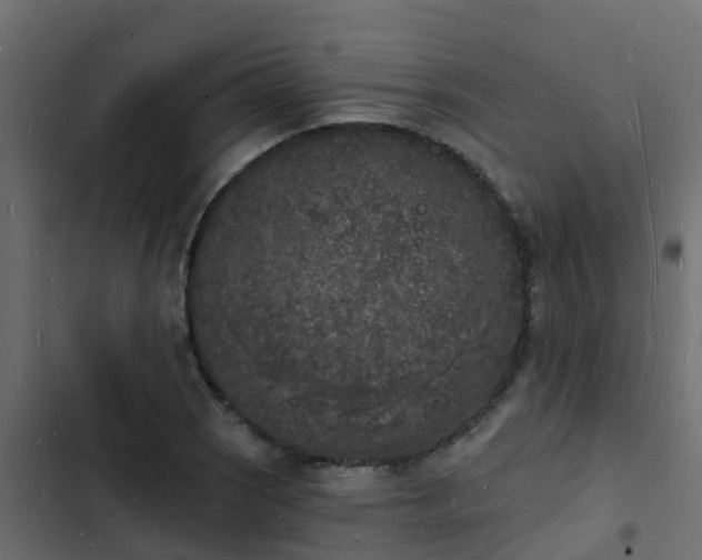 X0000103971121200809261828