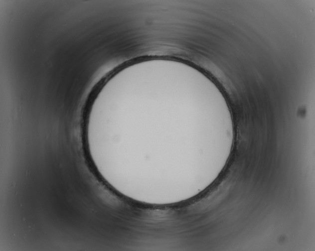 X0000103971122200809261828