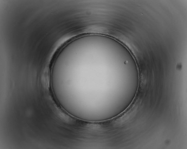 X0000103971123200809261828