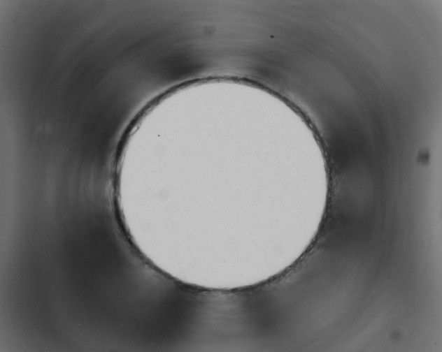 X0000103971124200809261828