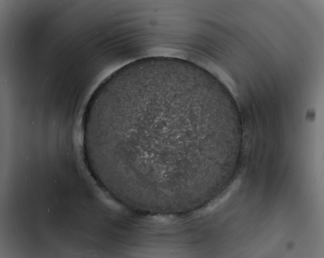 X0000103971125200809261828