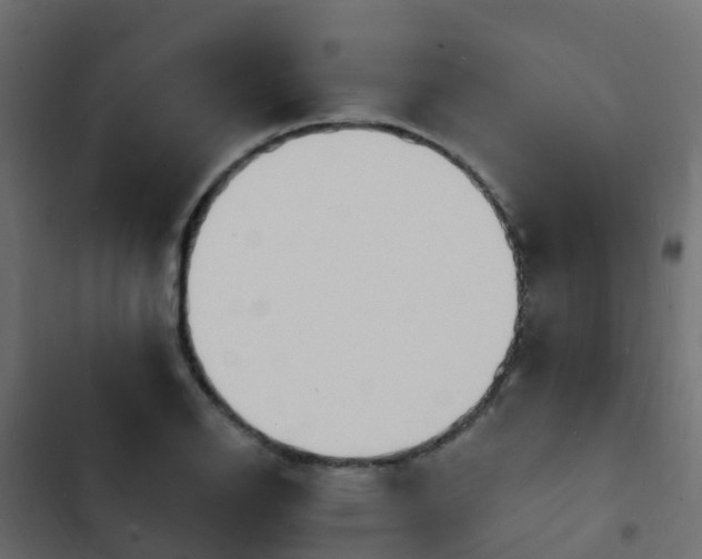 X0000103971126200809261828