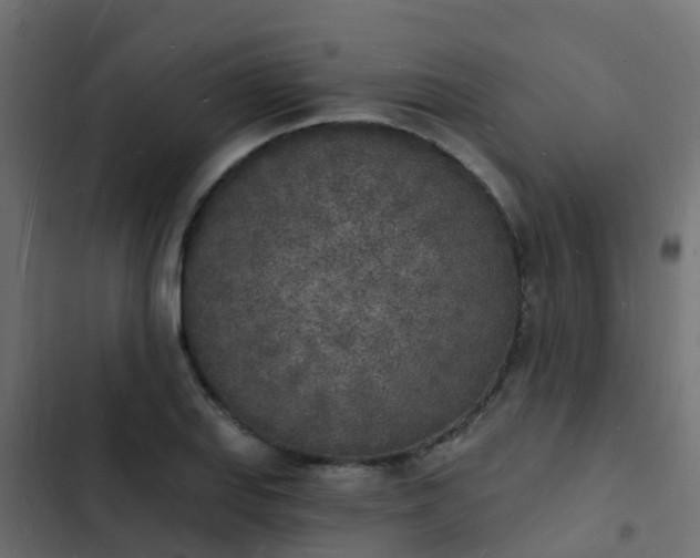 X0000103971127200809261828