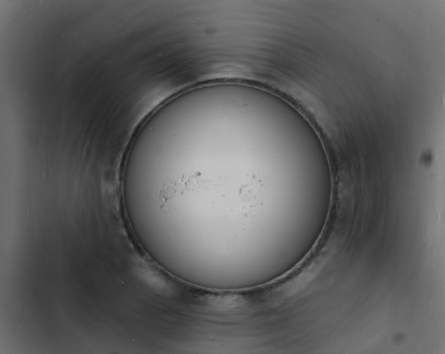 X0000103971129200809261828