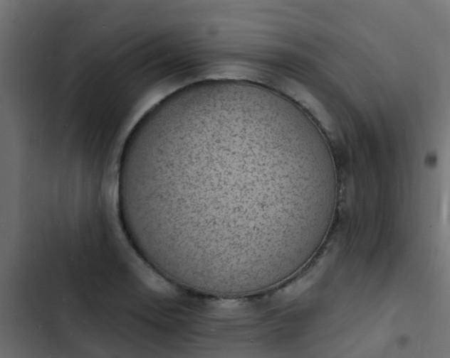 X0000103971130200809261828