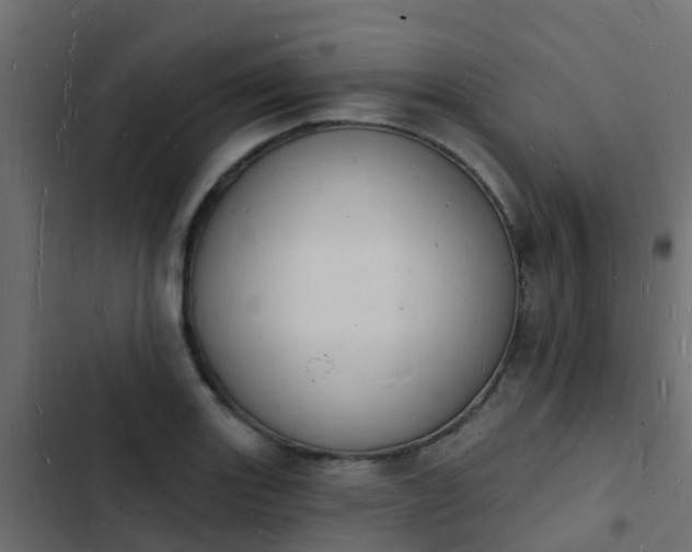 X0000103971131200809261828