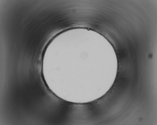 X0000103971132200809261828