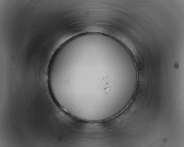 X0000103971133200809261828