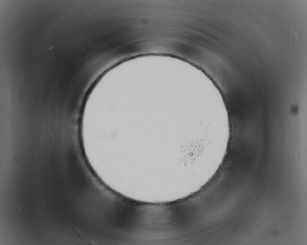 X0000103971134200809261828