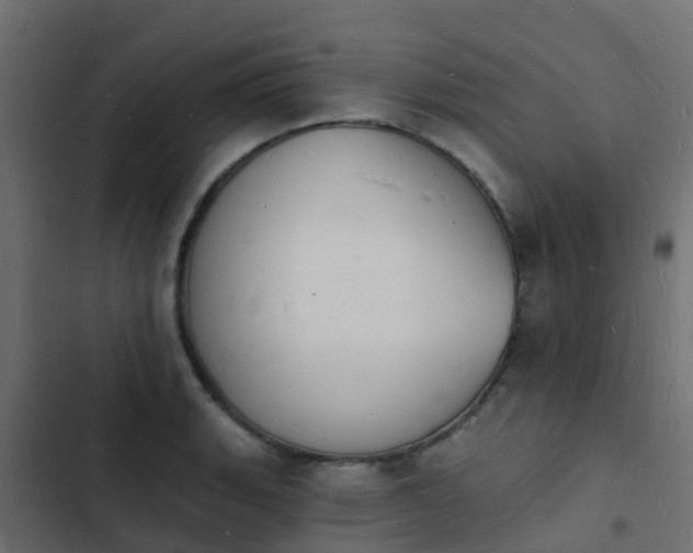 X0000103971135200809261828