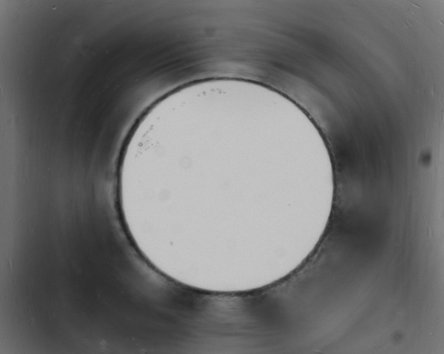 X0000103971136200809261828